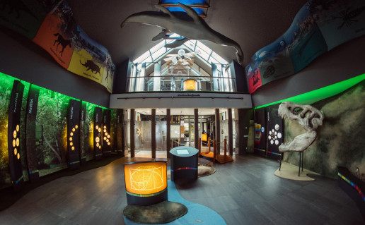 2017-07-12 16-46-20 author Rytis Seskaitis.jpg